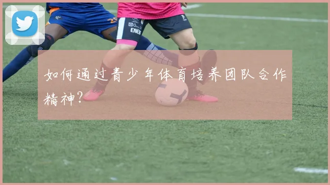 如何通过青少年体育培养团队合作精神？